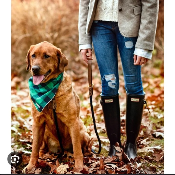 NWT green Dog Bandanna Christmas - Picture 4 of 4